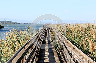 Oasi La Valle, Lake Trasimeno, Italy Stock Photo